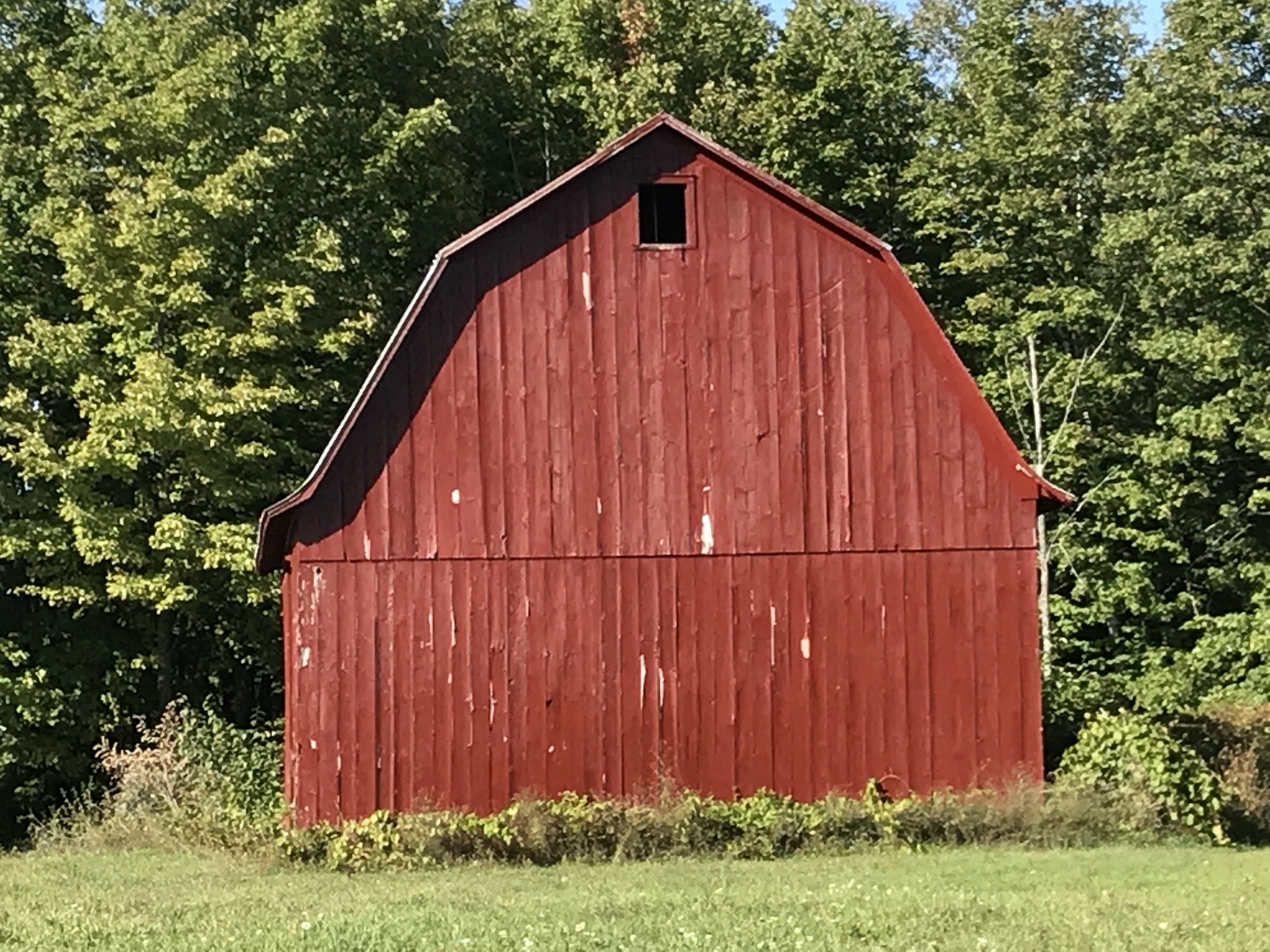 exploring-the-old-mission-peninsula-traverse-city-mi-globalphile
