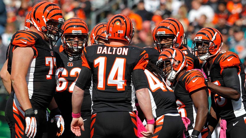 bengals training camp 2017
