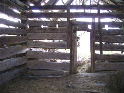 Illustrated History of Log Cabins, homesteading, homestead