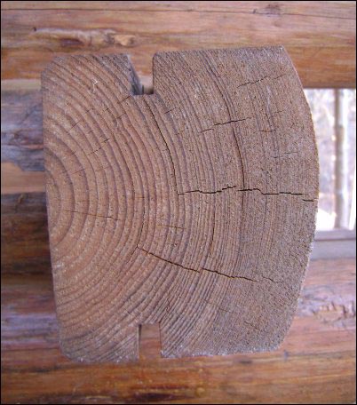 Illustrated History of Log Cabins, homesteading, homestead