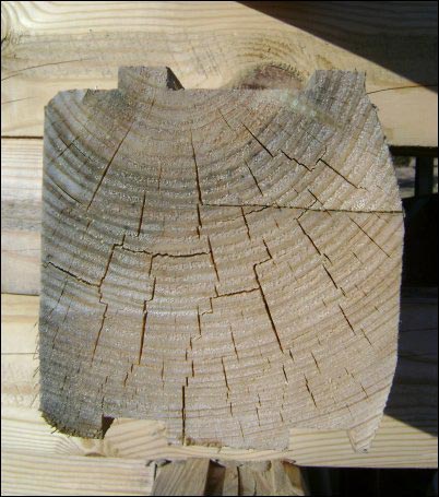 Illustrated History of Log Cabins, homesteading, homestead