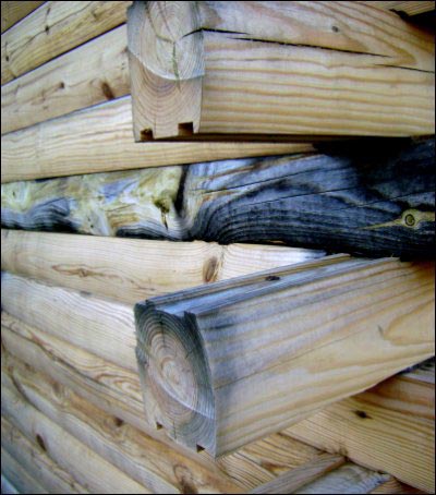 Illustrated History of Log Cabins, homesteading, homestead