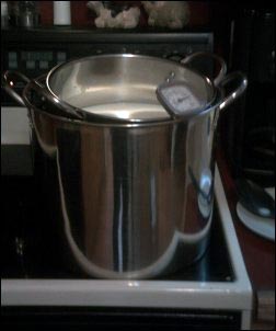 Pasteurizing the milk, Guide to Gorgonzola, how to make blue cheese, homesteading