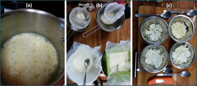 homemade cheese