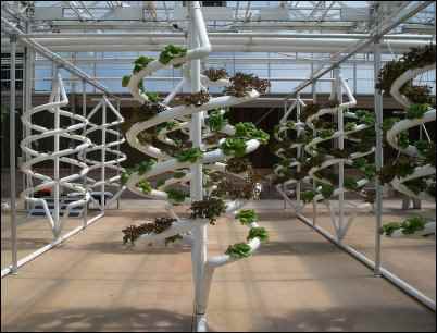 hydroponics