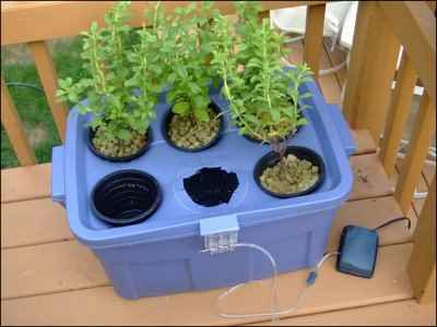 hydroponics