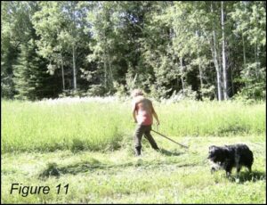 scythe Swing