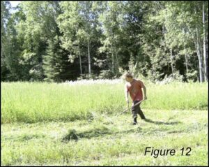 scythe Swing
