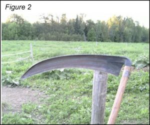 european scythe homesteading, homestead. homestead.org