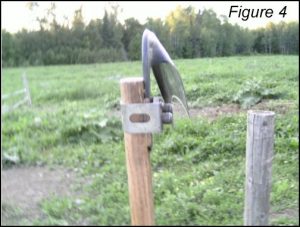 homesteading, homestead. homestead.org