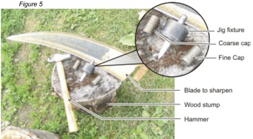 homesteading, homestead. homestead.org