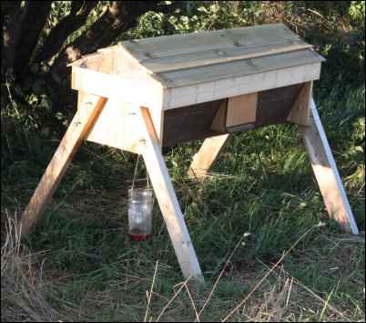 Kenyan top bar hive bees