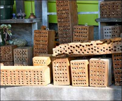Orchard mason bee houses
