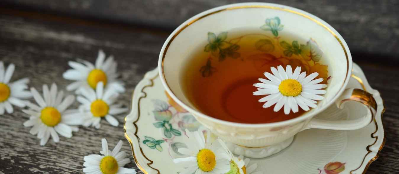 herbal extract, Herbal Remedies on the Homestead