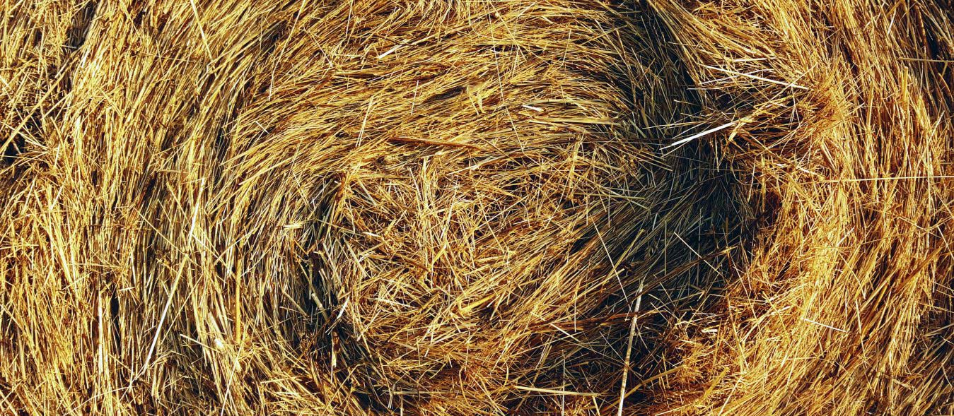 haybox cooking on the homestead