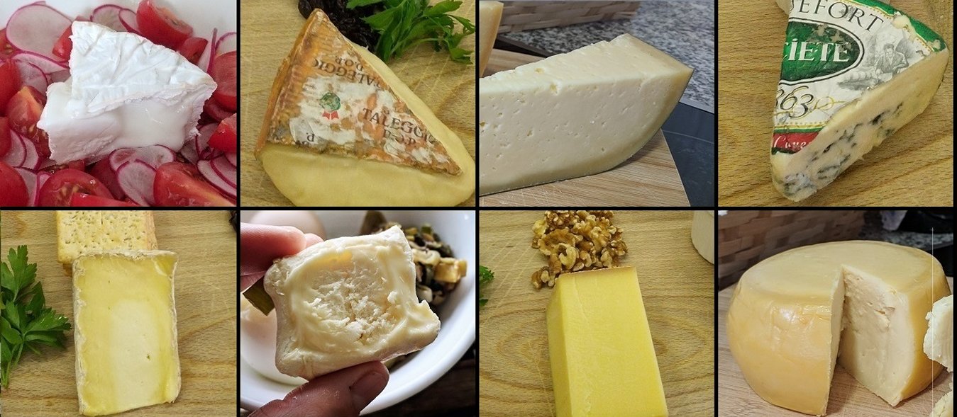 Cheesemaking science for beginners, cheesemaking at home, cheese affinage, homesteading