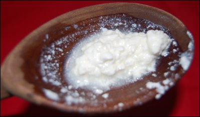 kefir grains, Make your own Fermented Drinks, Make your own kombucha, Make your own kefir, homesteading, homestead