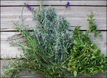rosemary-lavender-oregano, bouquet garni, Make Money With Specialty Herbs and Cut Flowers, make money with specialty herbs, cut and come again flowers, make money with herbs, start an herb business successful cut flower business, homesteading, homestead