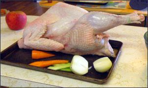 raise heritage turkeys, small-scale turkey farming, heritage turkey breeds, holiday cash, homesteading, homestead