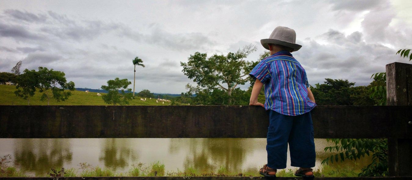 raising kids in the country, country kids, raise country kids, keeping country kids safe around guns, kid friendly chickens, homesteading, homestead