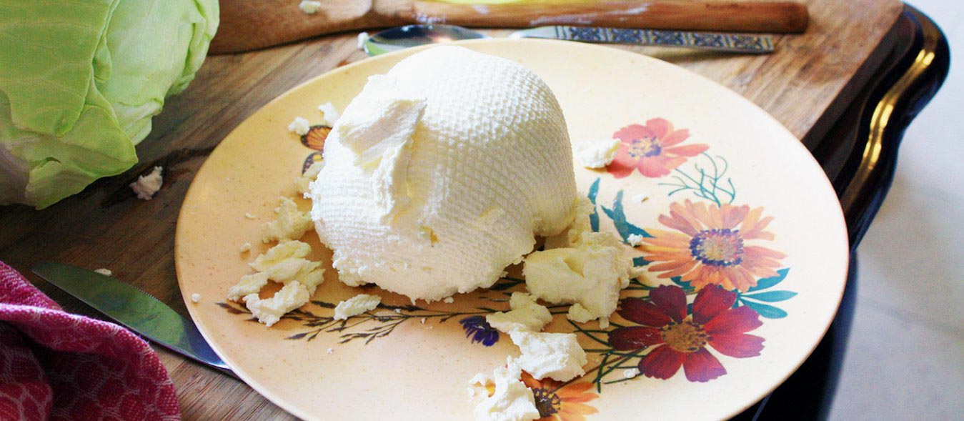 continuous production yogurt, making food without electricity, labneh, cheese, recipe for homemade yogurt, greek yogurt, yogurt with goat's milk, cow's milk yogurt, pizza topping, Middle Eastern cuisine, off grid, homesteading