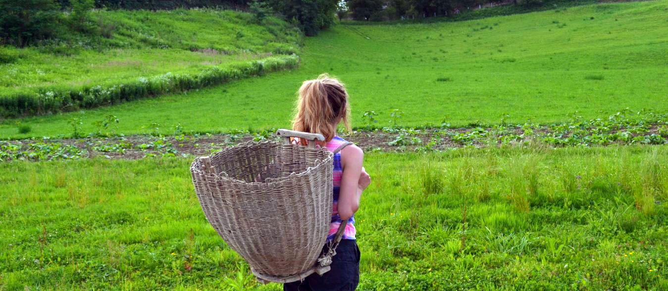 Hesitant-Homesteader, homesteading, thinking about homesteading