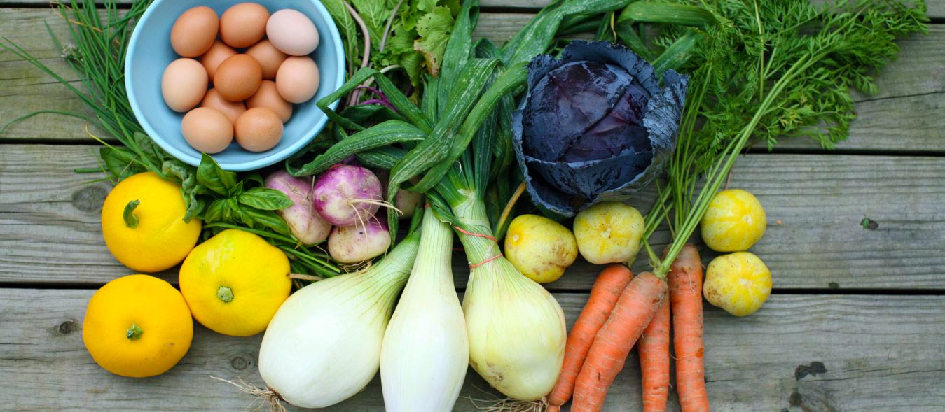 Tips for Starting a CSA, how to start a csa, successful CSA, CSA, Community Supported Agriculture, start a CSA, operating a CSA, homesteading