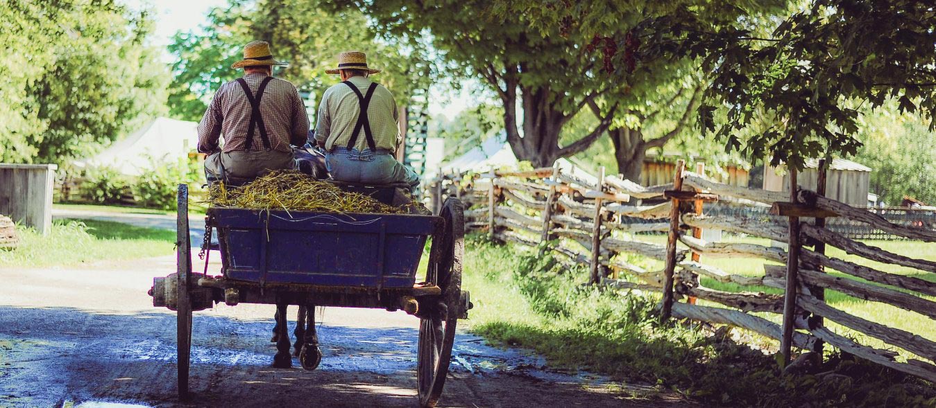How to Do Things book, homesteading in the past