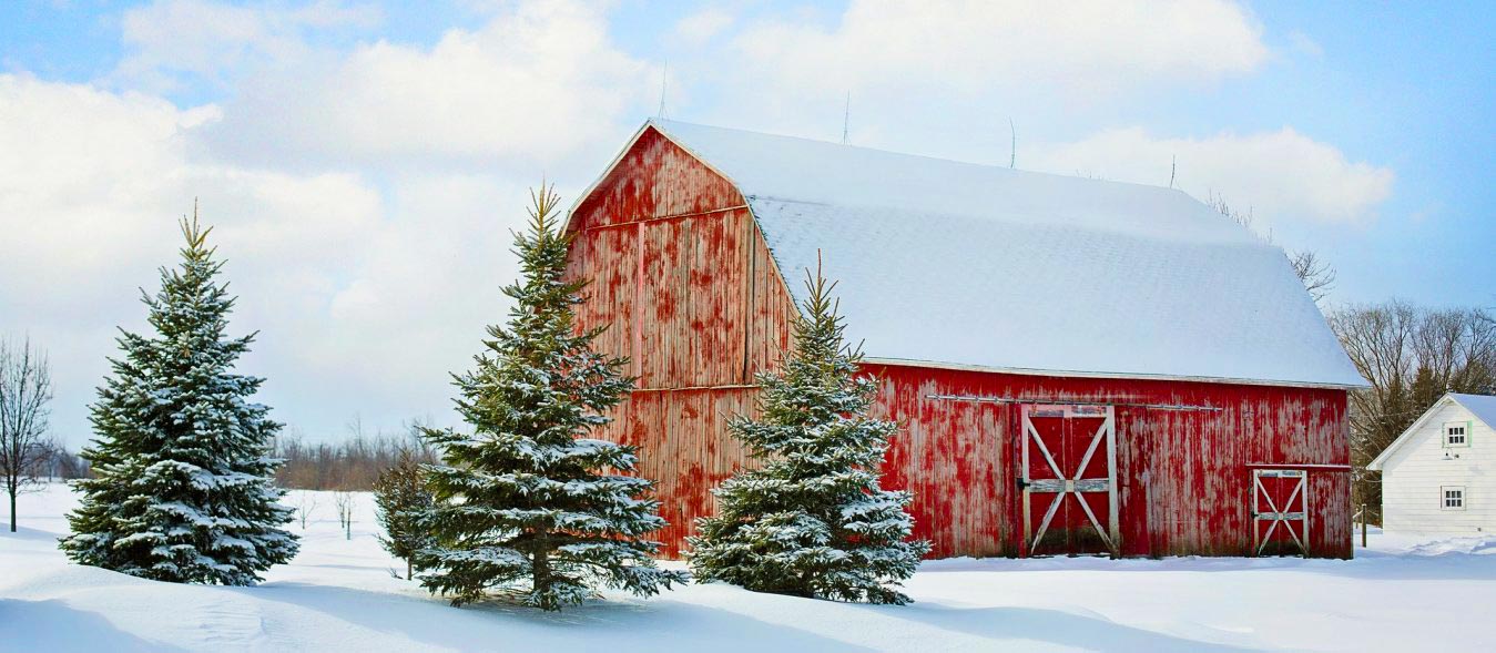 red barn in the snow with pine trees, preparing for the holiday rush, holidays, enjoying the holidays, profitable months for homesteading, winter homesteading
