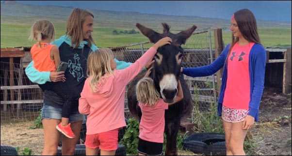 When we have visitors our donkey is usually a main attraction on our homestead