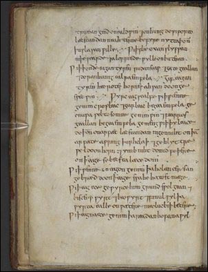 This page from Bald’s Leechbook (mid-10th century) gives a recipe for Bald's eye-salve which reads, in part: “Take cropleek and garlic, of both equal quantities, pound them well together… take wine and bullocks gall, mix with the leek… let it stand nine days in the brass vessel…”
