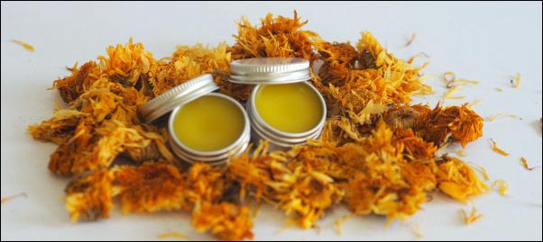 calendula salve, salve making ingredients, herbal-salve-making, herbal salve recipes, how to make herbal salves