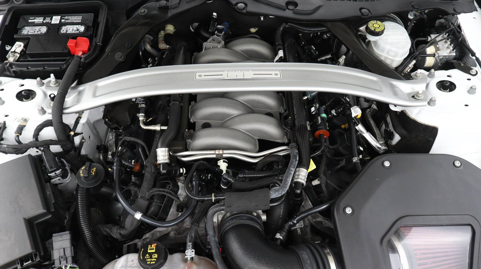 Florida Fine Cars - Used FORD MUSTANG 2019 MIAMI GT