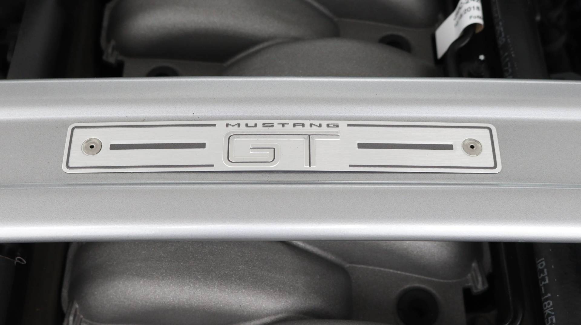 Florida Fine Cars - Used FORD MUSTANG 2019 MIAMI GT