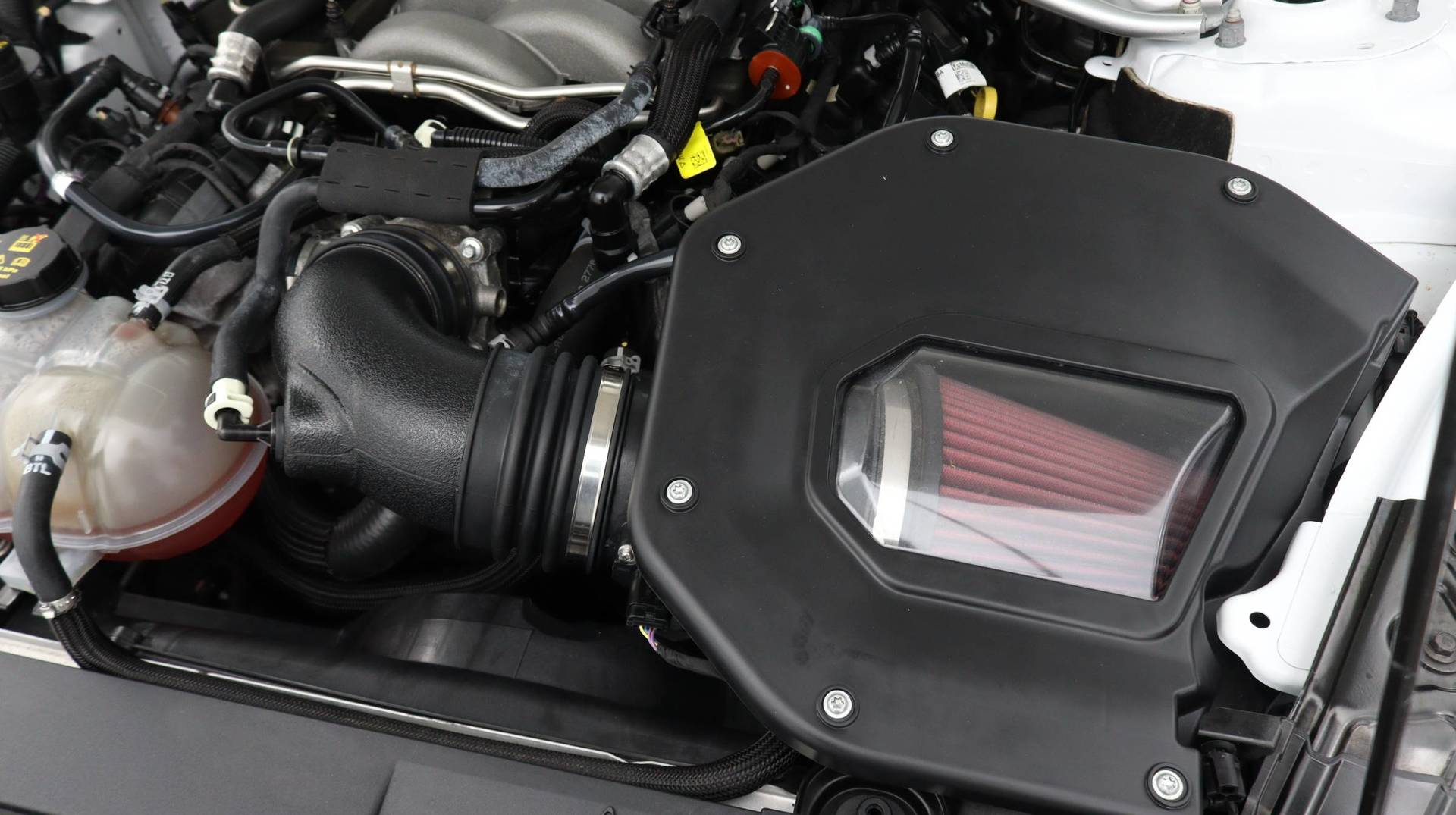 Florida Fine Cars - Used FORD MUSTANG 2019 MIAMI GT