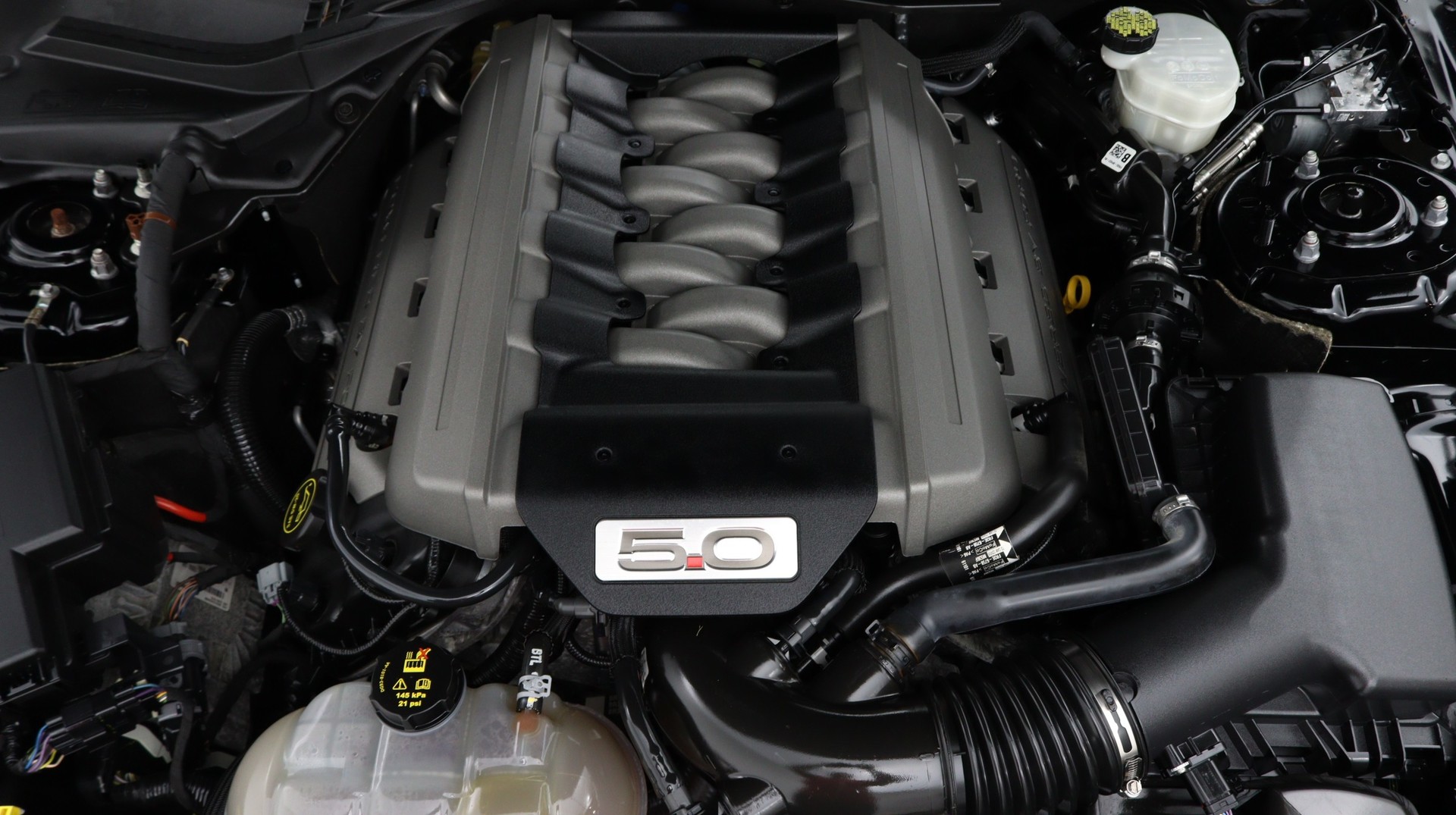 Florida Fine Cars - Used FORD MUSTANG 2016 MIAMI GT