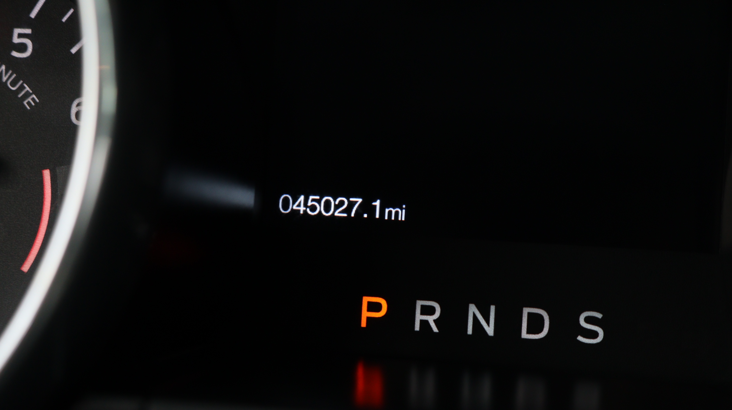 Florida Fine Cars - Used FORD MUSTANG 2019 MIAMI ECOBOOST PREMIUM