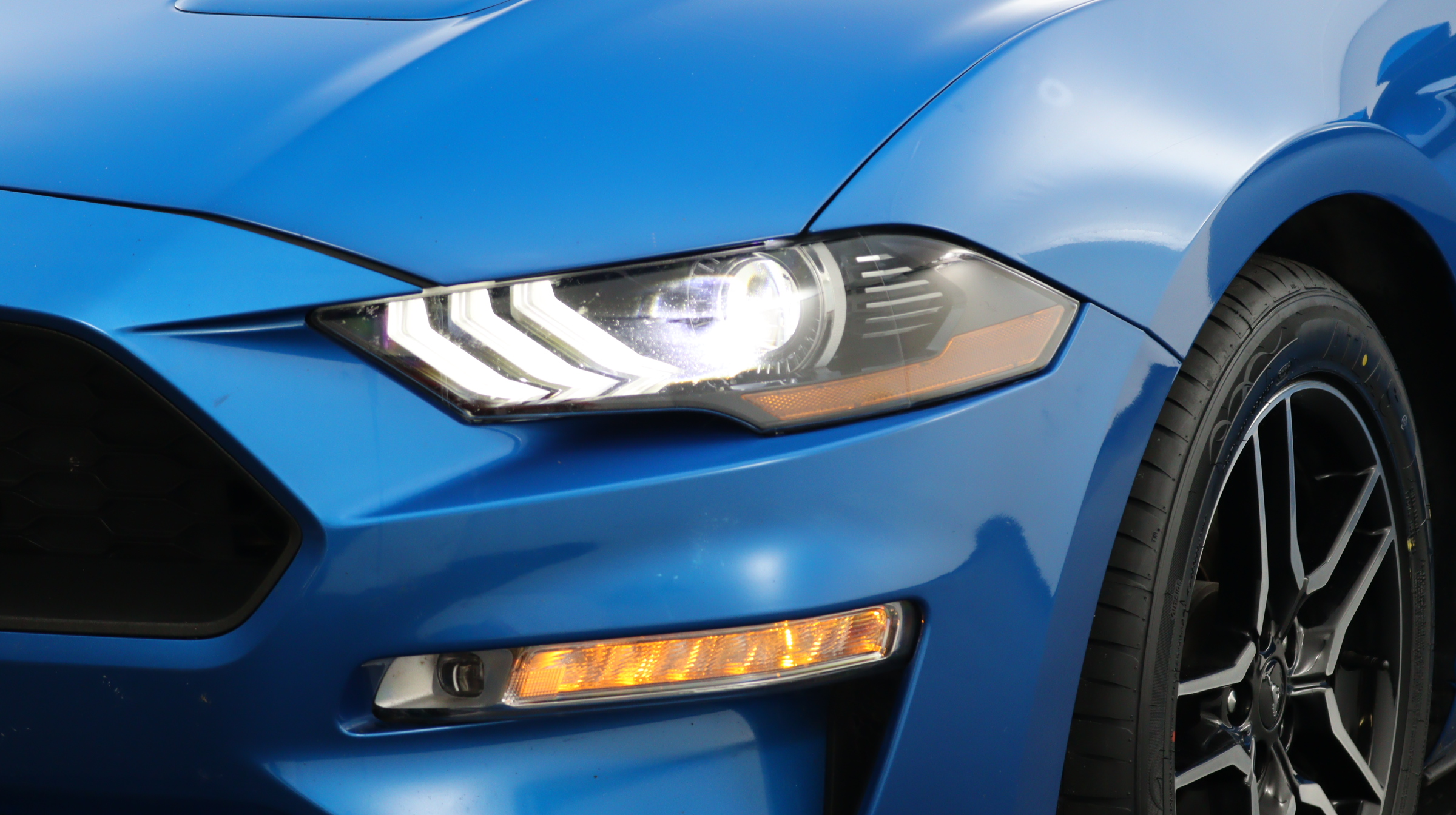 Florida Fine Cars - Used FORD MUSTANG 2019 MIAMI ECOBOOST PREMIUM