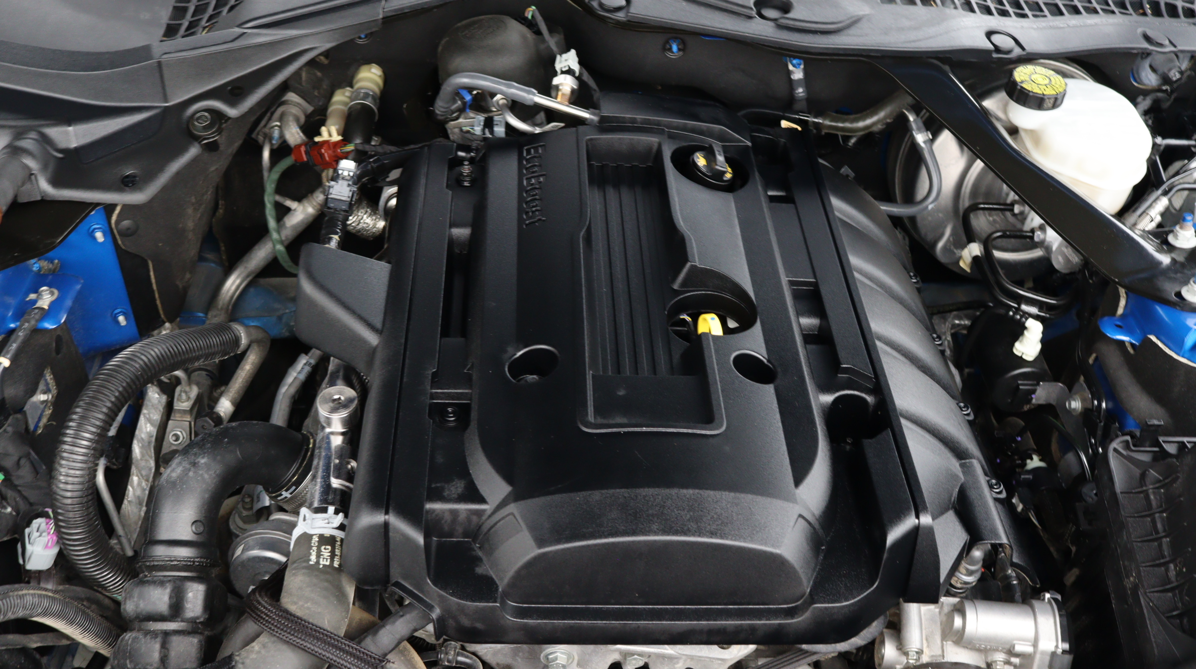 Florida Fine Cars - Used FORD MUSTANG 2019 MIAMI ECOBOOST PREMIUM