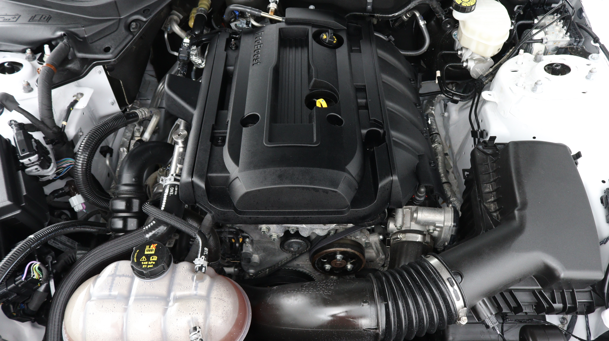 Florida Fine Cars - Used FORD MUSTANG 2021 MIAMI ECOBOOST PREMIUM