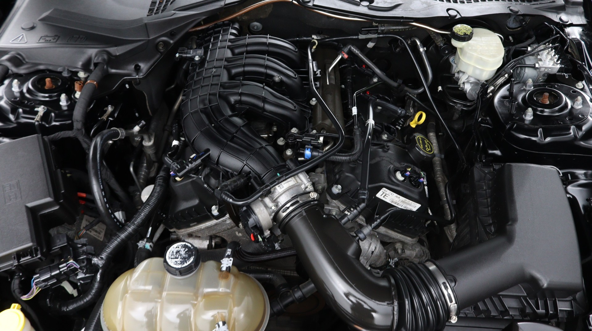 Florida Fine Cars - Used FORD MUSTANG 2015 WEST PALM V6