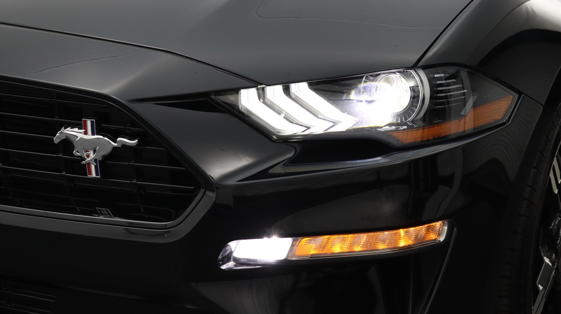 Florida Fine Cars - Used FORD MUSTANG 2019 MARGATE GT