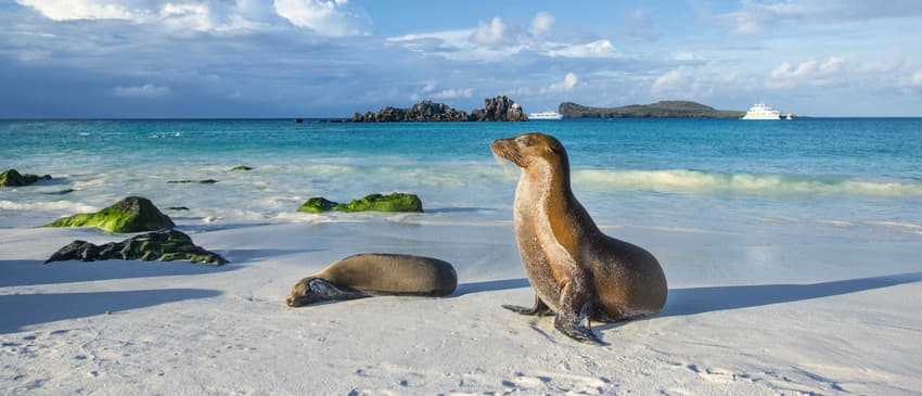 galapagos-islands-1