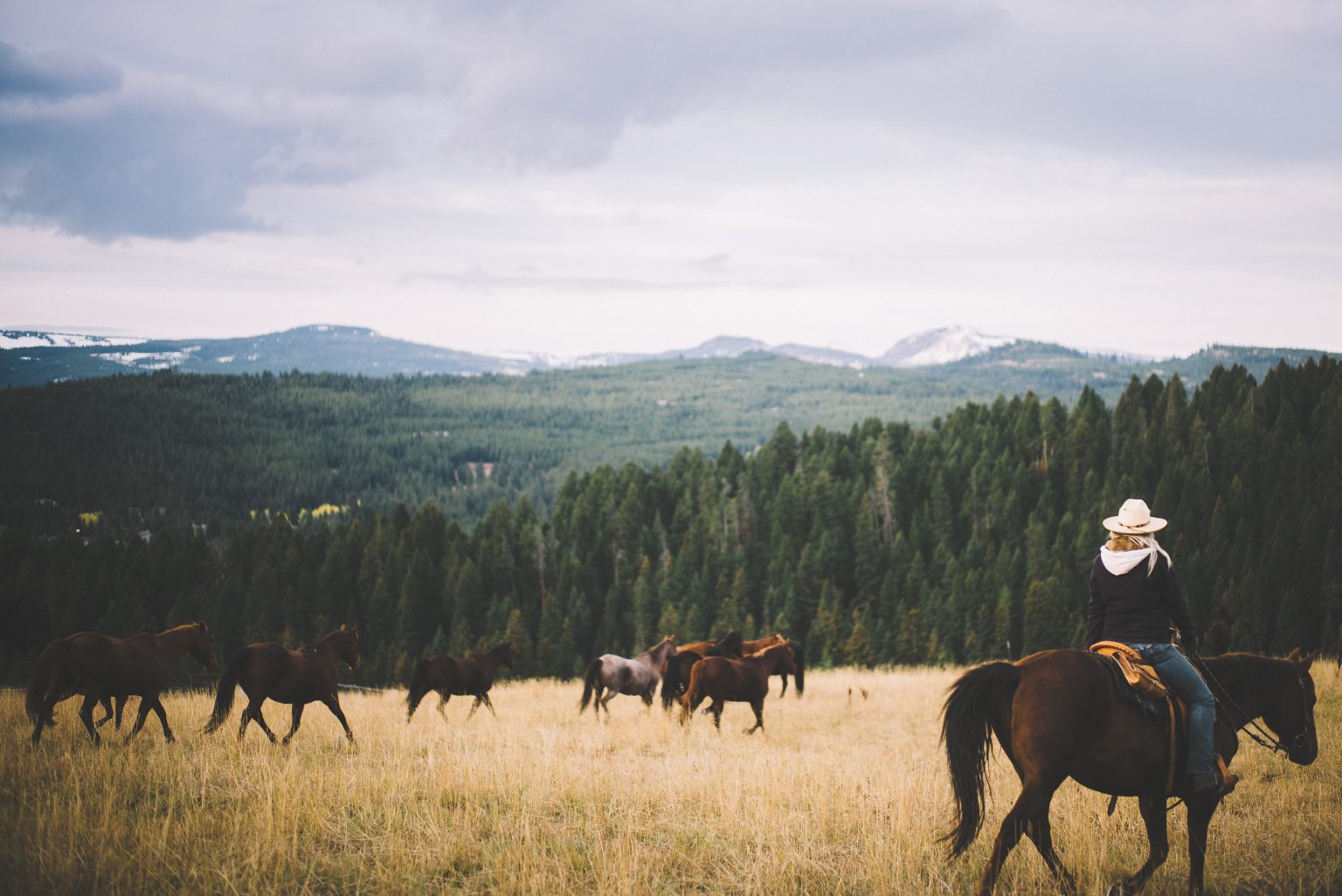 Summer Discovery Lone Mountain Ranch Packages MontanaLone Mountain