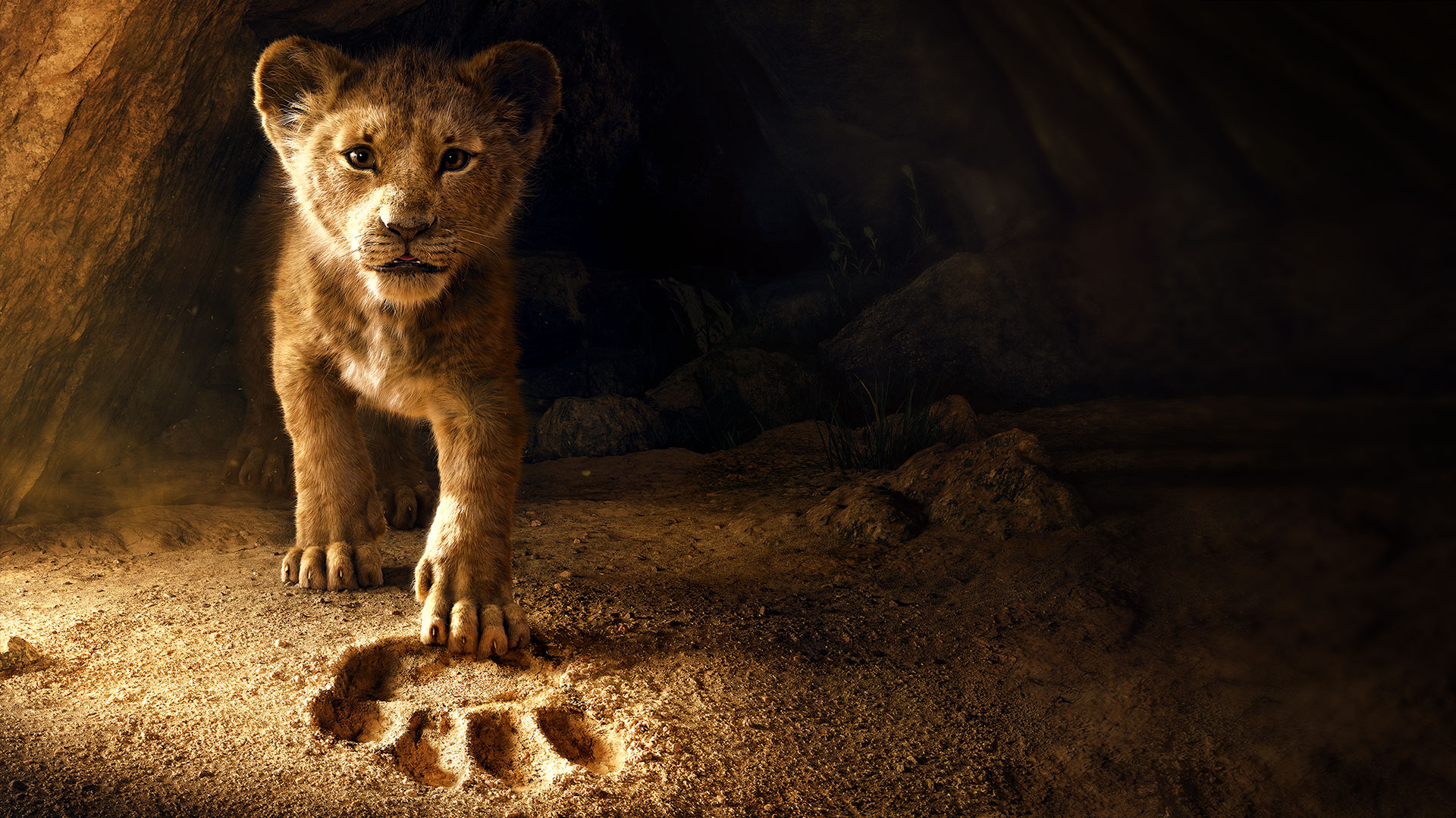 Math Se Fait Des Films Le Roi Lion MatTV - Sortie DVD: Le Roi Lion