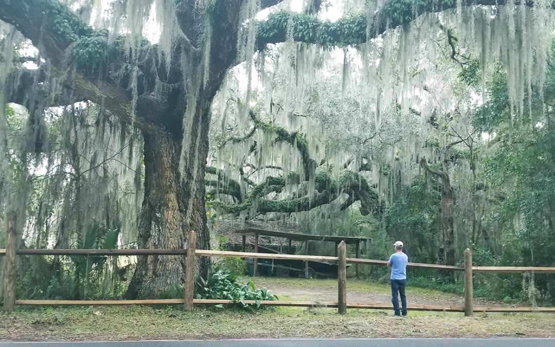 Texas to Florida – Loving Warm Weather