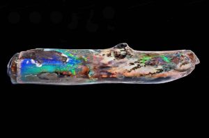 Nevada/Idaho Opal Field Trip<br>May 27 to 30, 2026 (Closed)