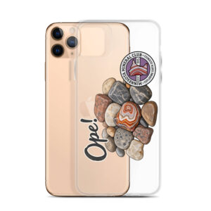 Clear Case for iPhone®
