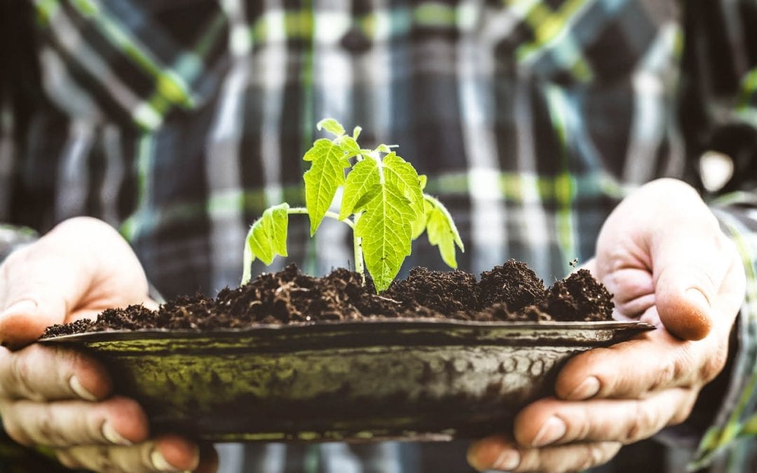 God Creates The Flowers; We Plant The Seeds.