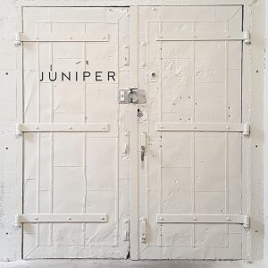 Juniper Entrance Door, Contemporary Lighting
